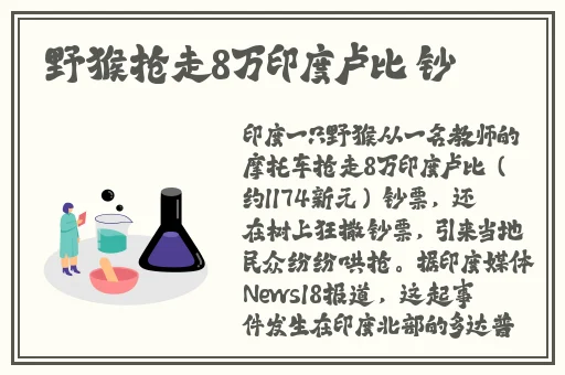 家庭影院3355蘑菇