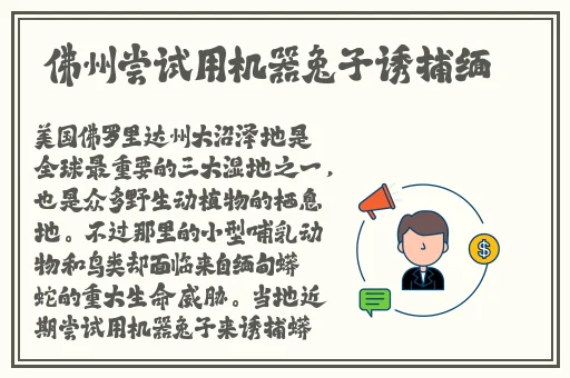 金㼛梅HD版杨梅思
